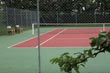 le tennis